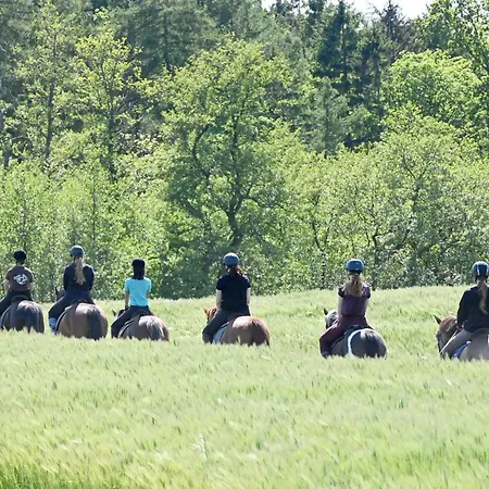 Tatil Evi Maikaefer Bliesdorf